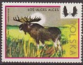 Poland - 1973 - Fauna - 1,50 ZT - Multicolor - Polonia, Fauna, Hunting, Alce - Scott 1973 - Hunting Alces Alces - 0